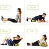 image:imageTRIGGERPOINT Performance Therapy Grid Foam Roller for Exercise Deep Tissue Massage and Muscle Recovery Original 13Inch LimeOne Size Pack of 6